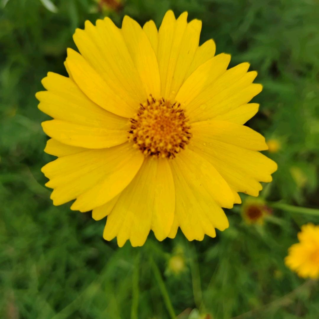 小郭，工地妹，专业墙地砖填缝