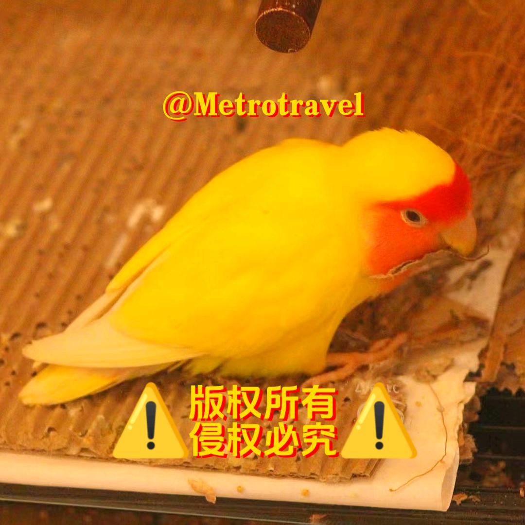 Metrotravel📷🌈