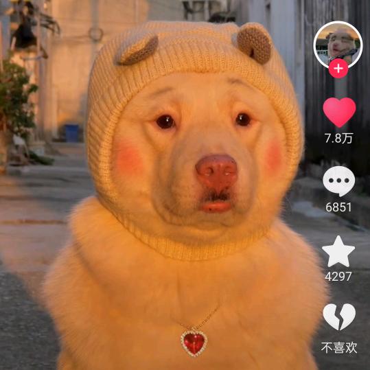 菲菲嗨！