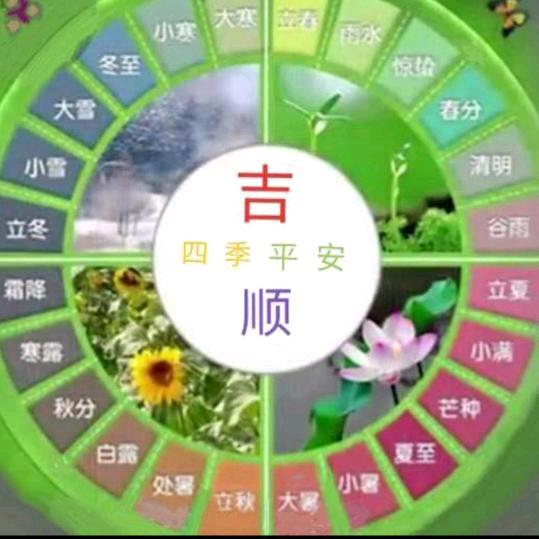 春天19