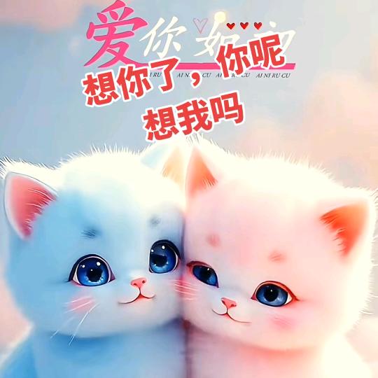 ꧔ꦿ᭄💞习惯被你宠᭄💞
