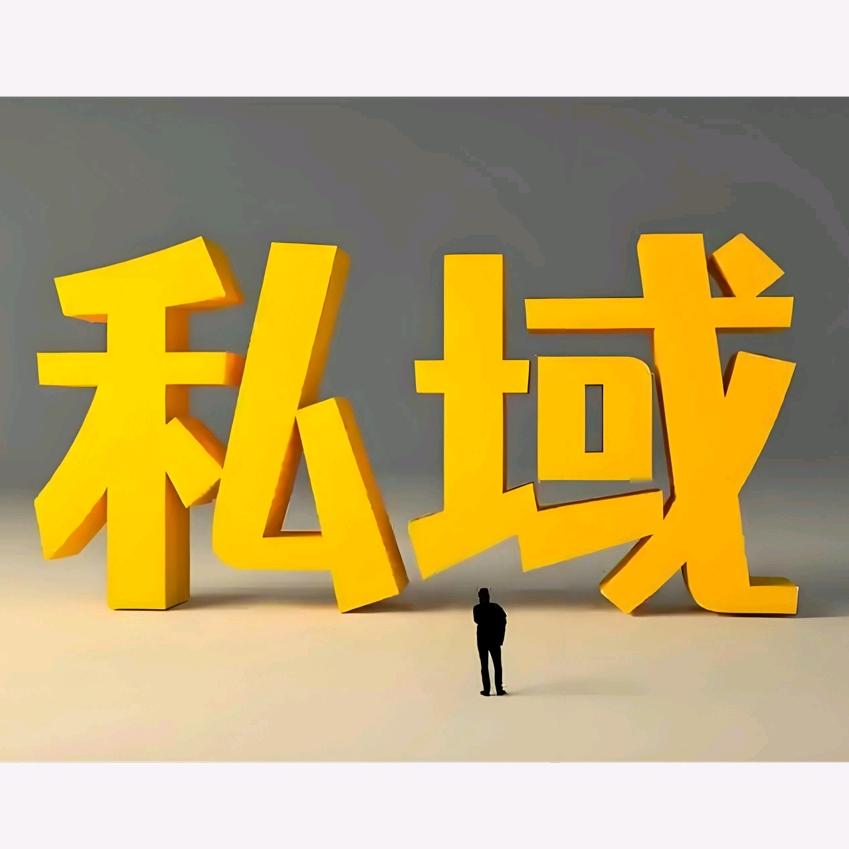 私域杨哥