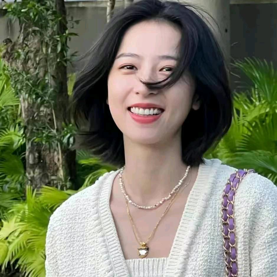 风往北吹.