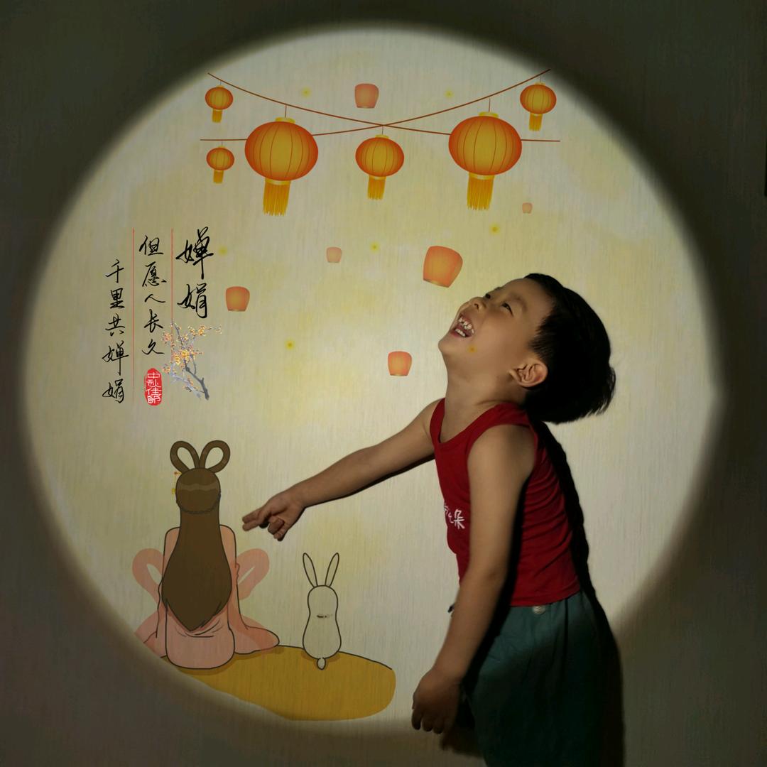 🌈一季花开又花落