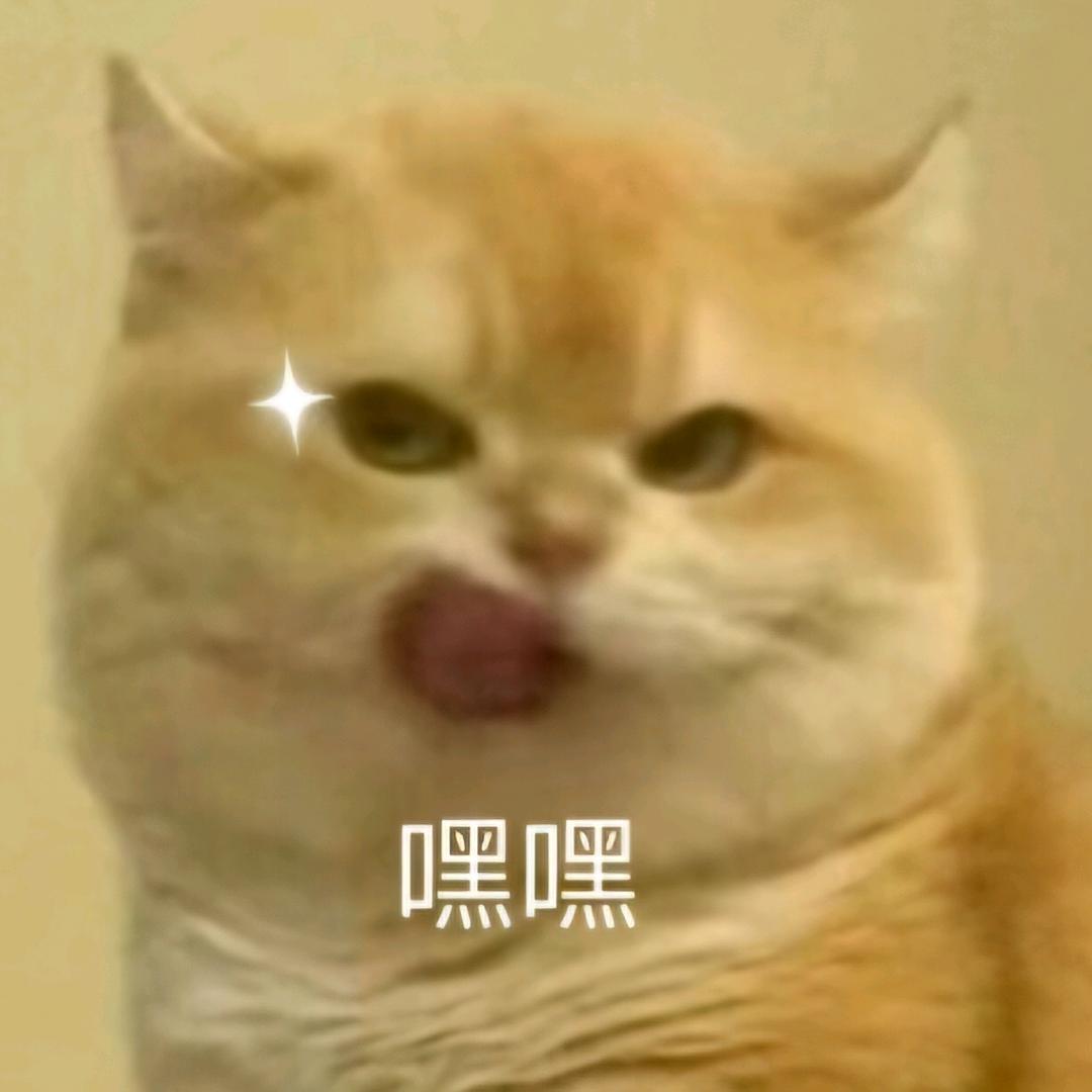 🪤