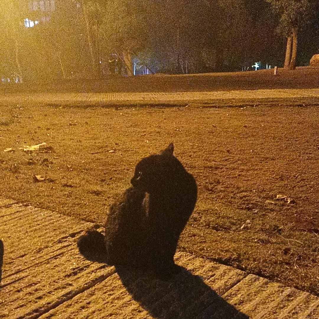 小白～