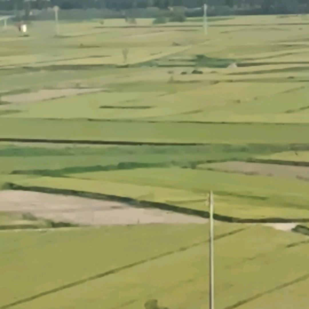 “未来可期”🥰