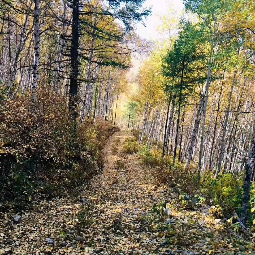 @两姓   研究小课堂