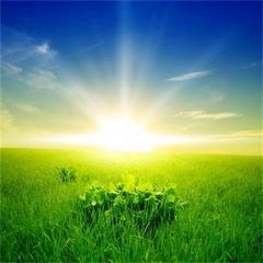 程程🍃
