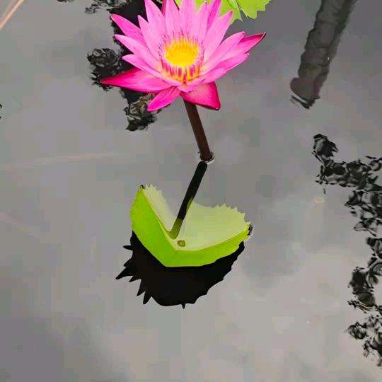 风影