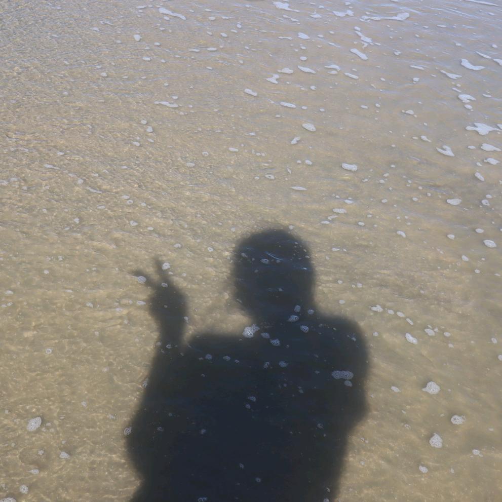 小鲍今天吃了吗