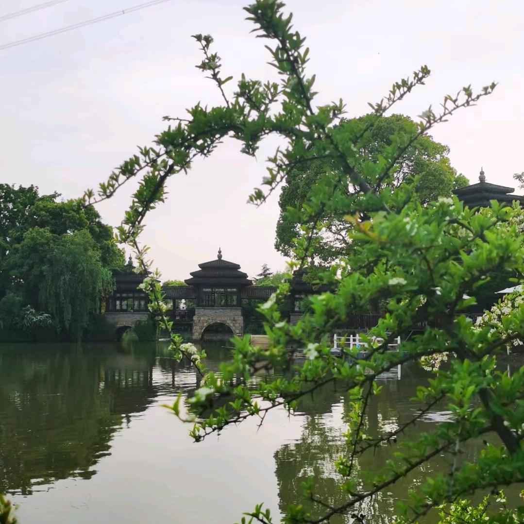 蛋仔最可爱
