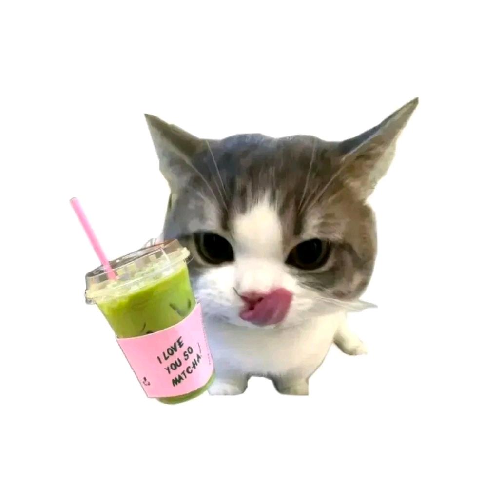 池鱼ა