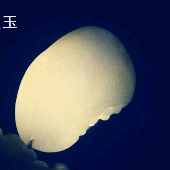 雪竹