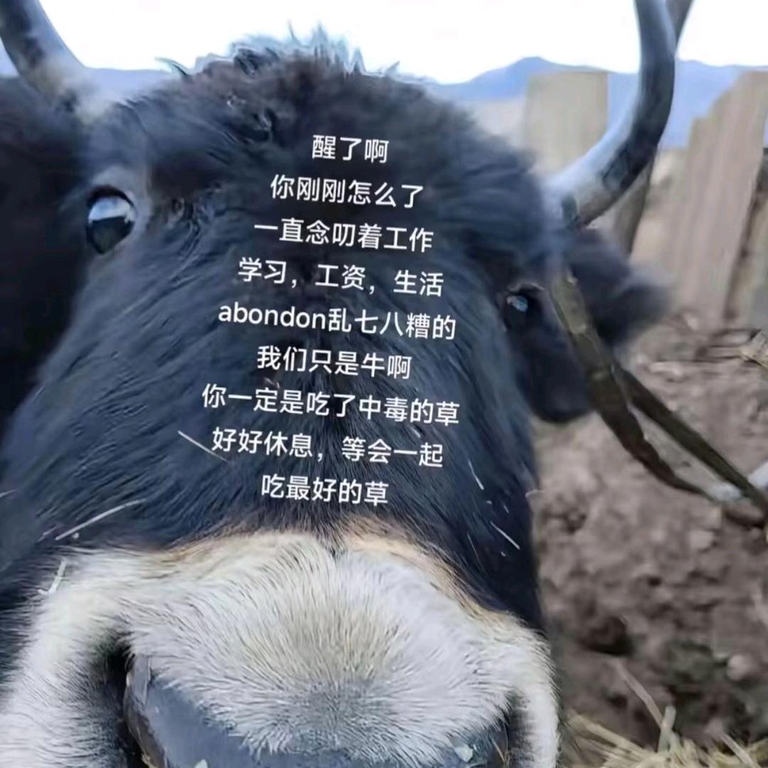与子偕老