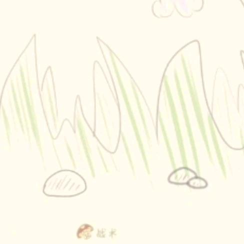 蘑菇战术
