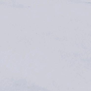 ♥