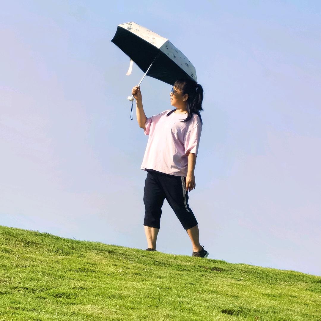 蓝玫瑰