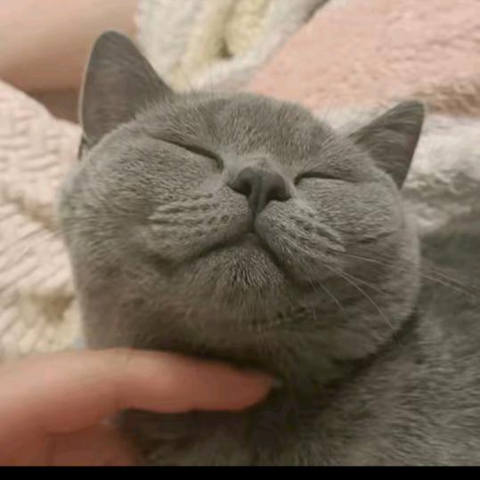 好运来超市(聚龙大道店)广州麦提电子商务有限公司好运来经营号