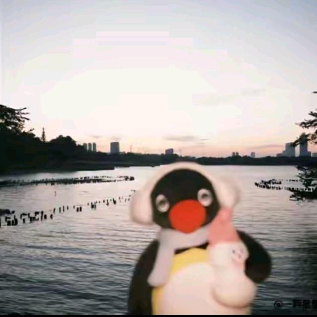 Pe⋈🕊️