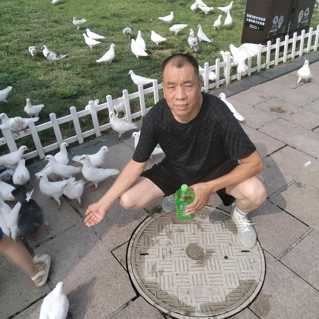 老会长婚介
