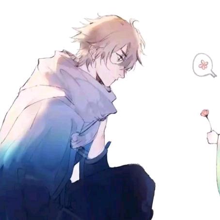 星辰（二手装载机）