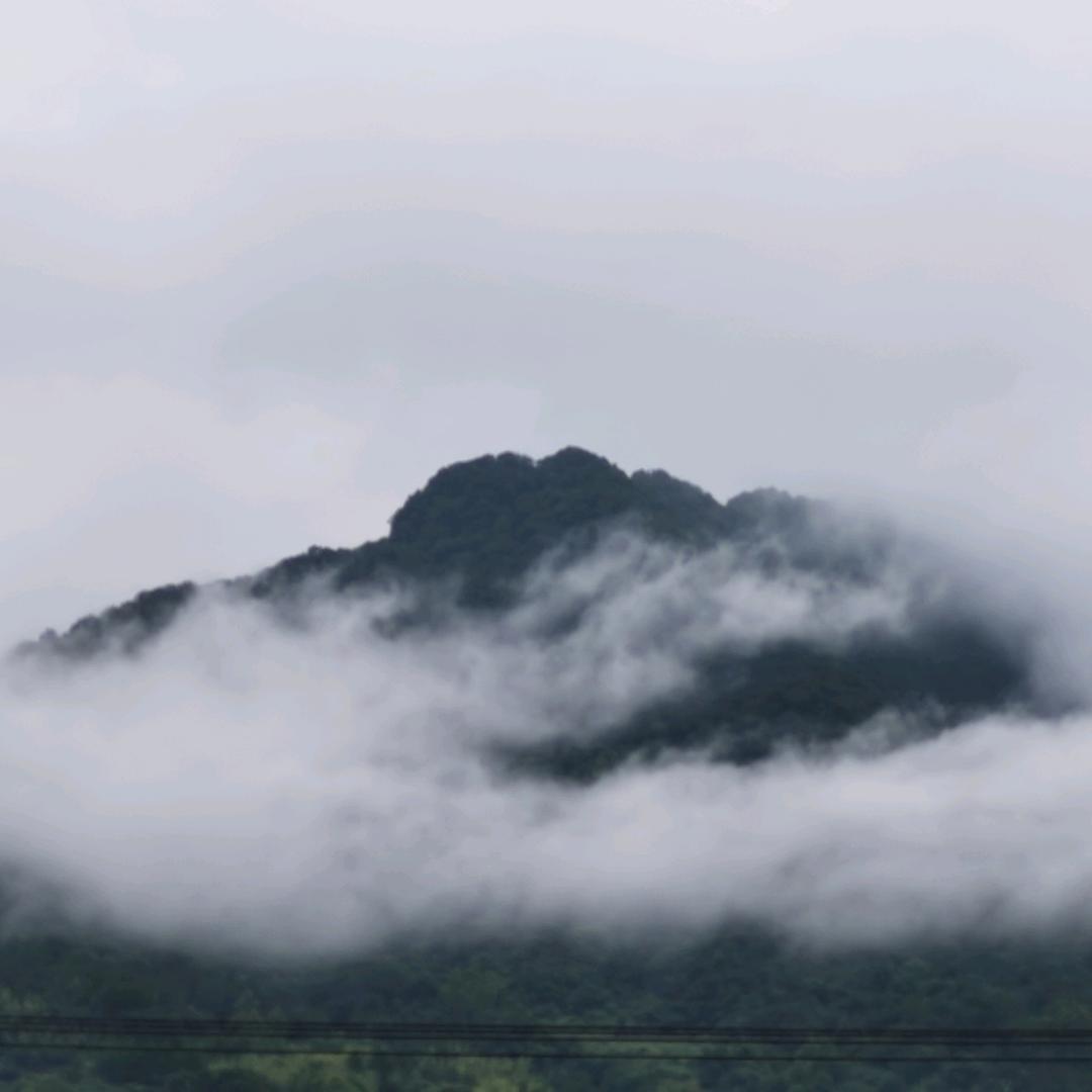 张端裕   才¹⁹¹⁵