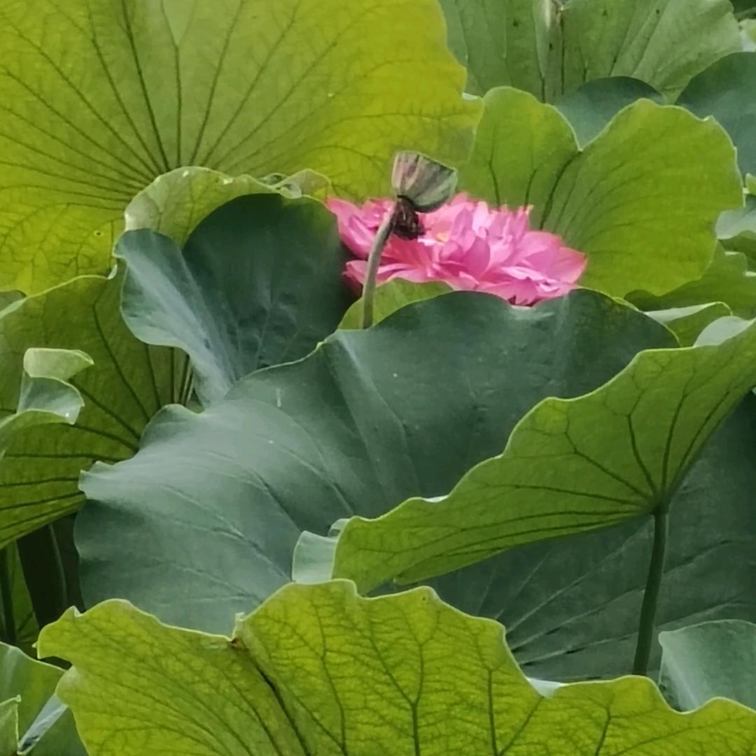 隐藏