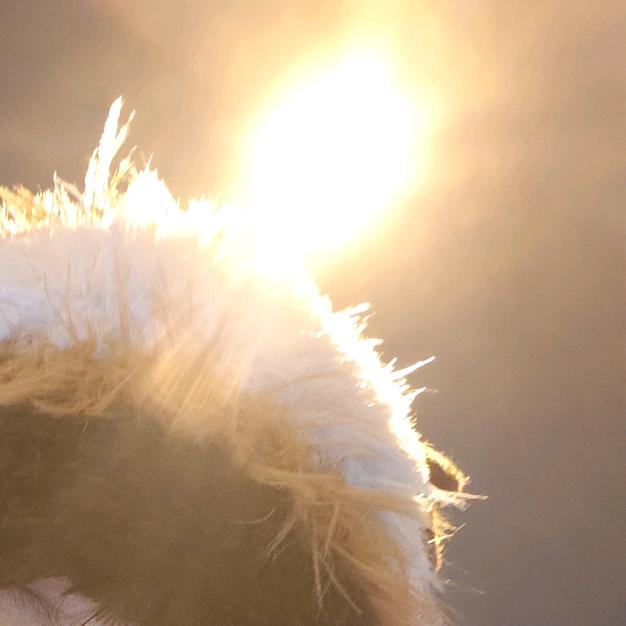 鈺鈺🌈🌈🌈🌈🌈