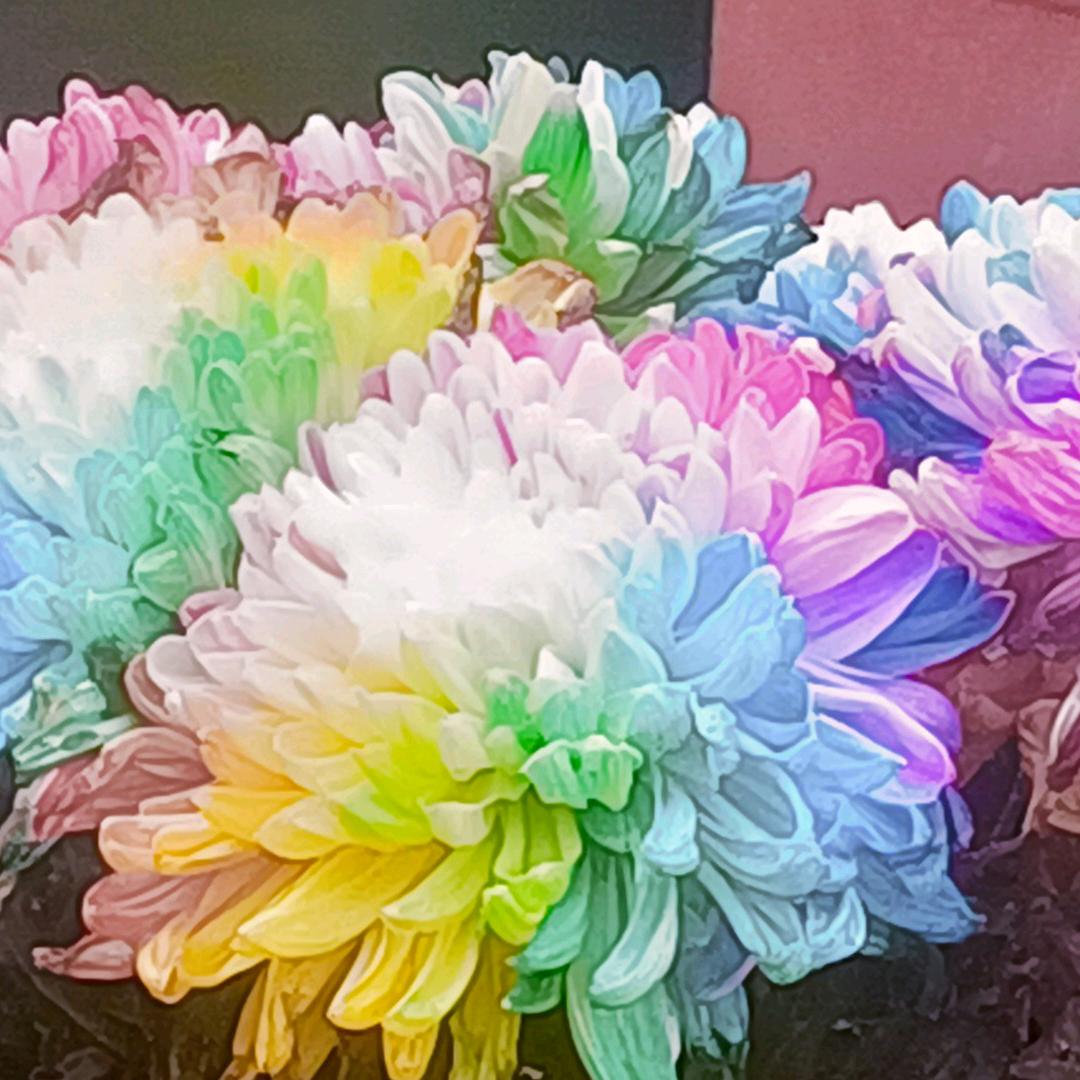 开盖有奖，再来一瓶