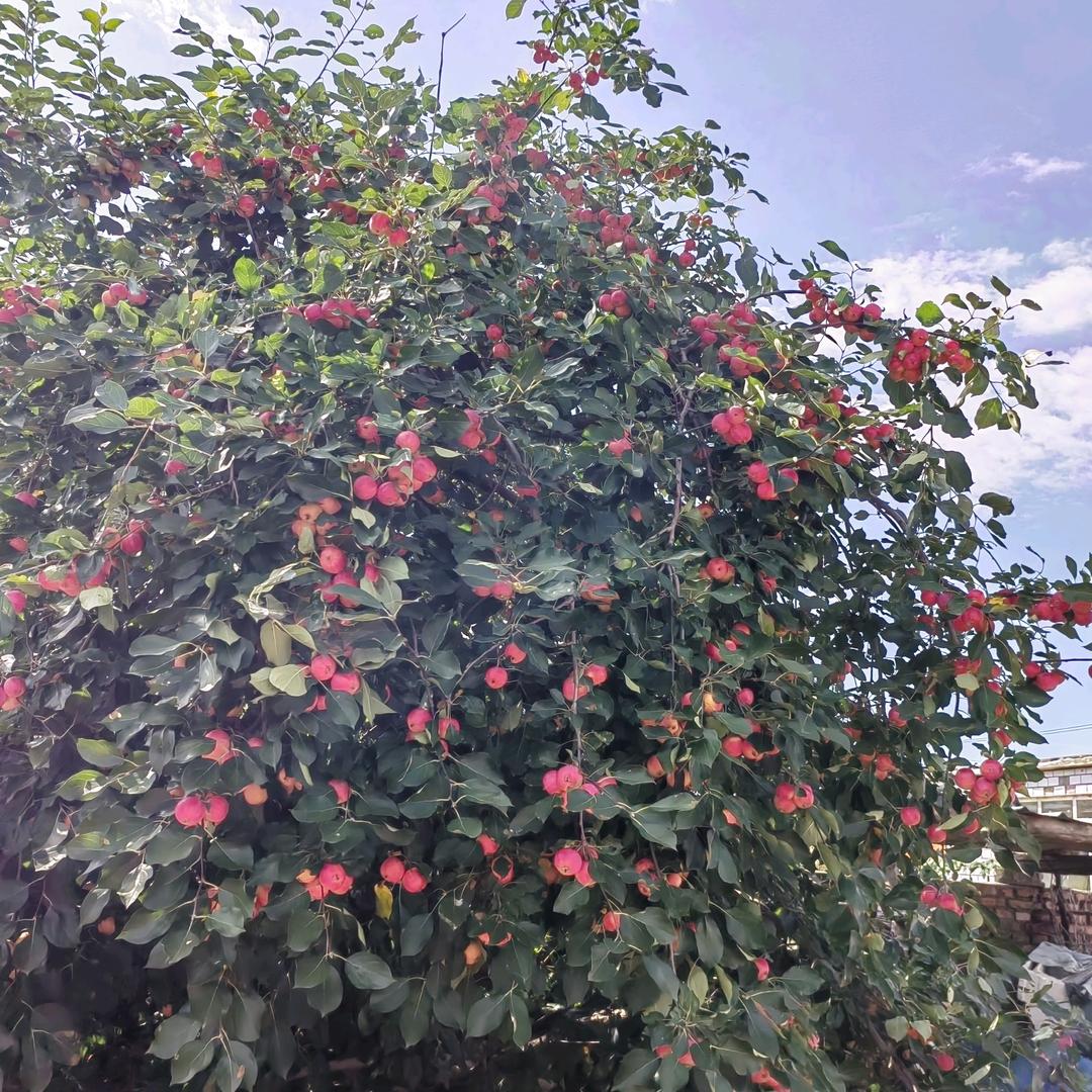 💞ღ᭄余生ঞღ᭄安好ꦿ꯭💞