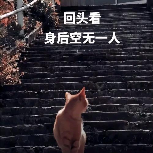 满是心酸᭄皆是遗憾᭄