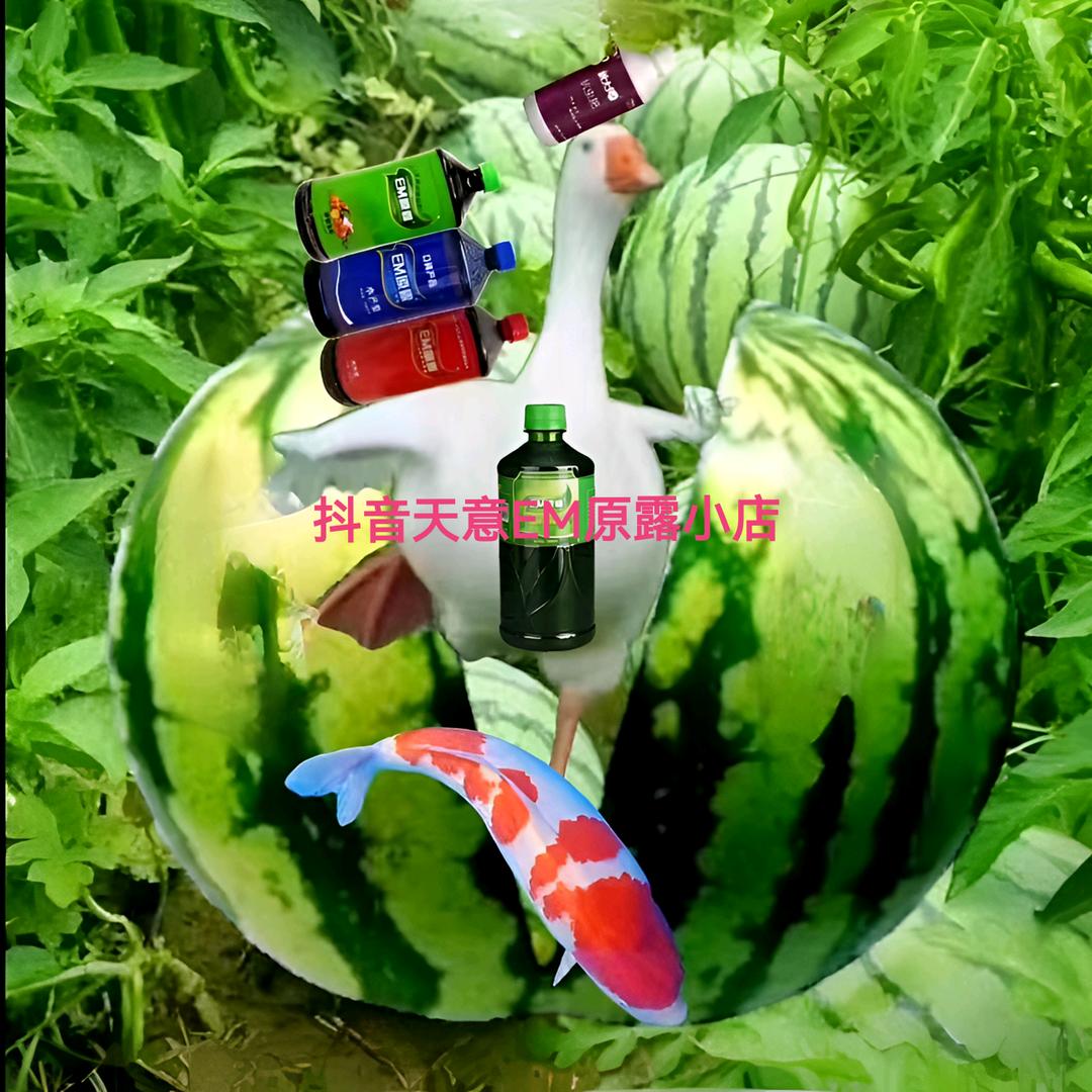 天意生物