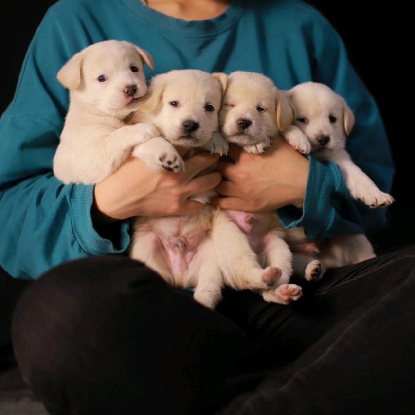 YS的日常小确幸