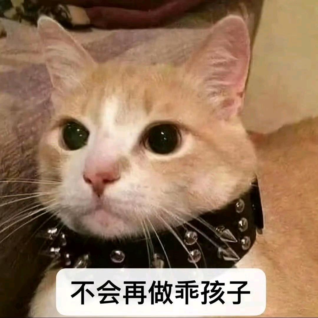 蓁蓁很努力