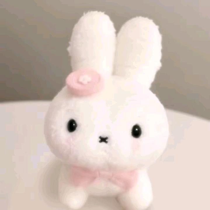 小猫脆脆