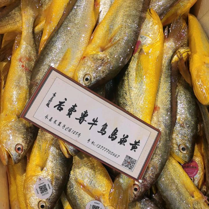 中国黄鱼岛乌牛店