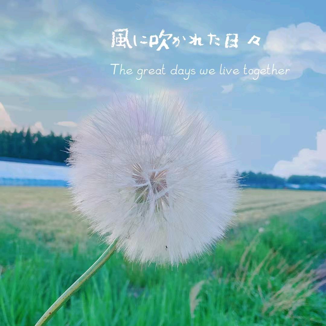 手指尖的幸福