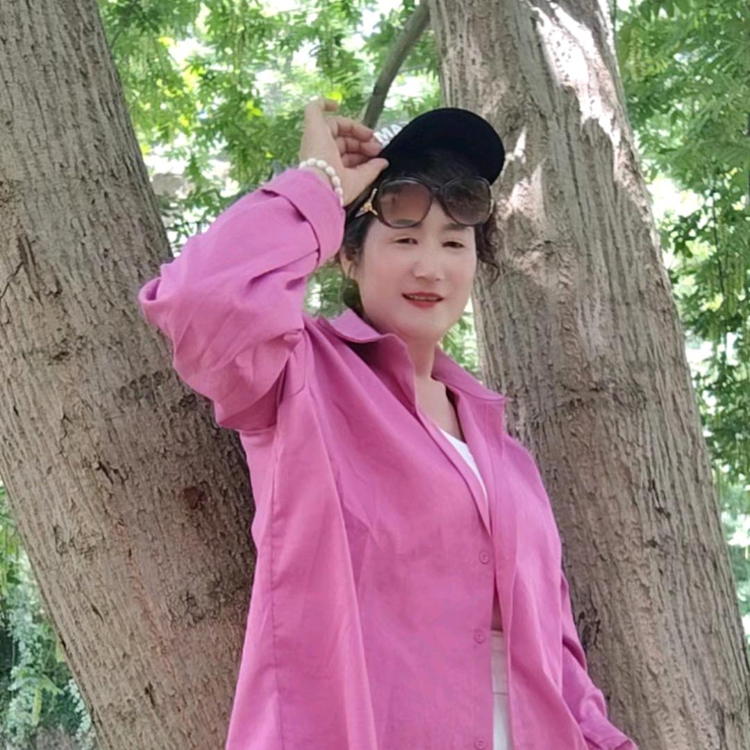 菊花🌸