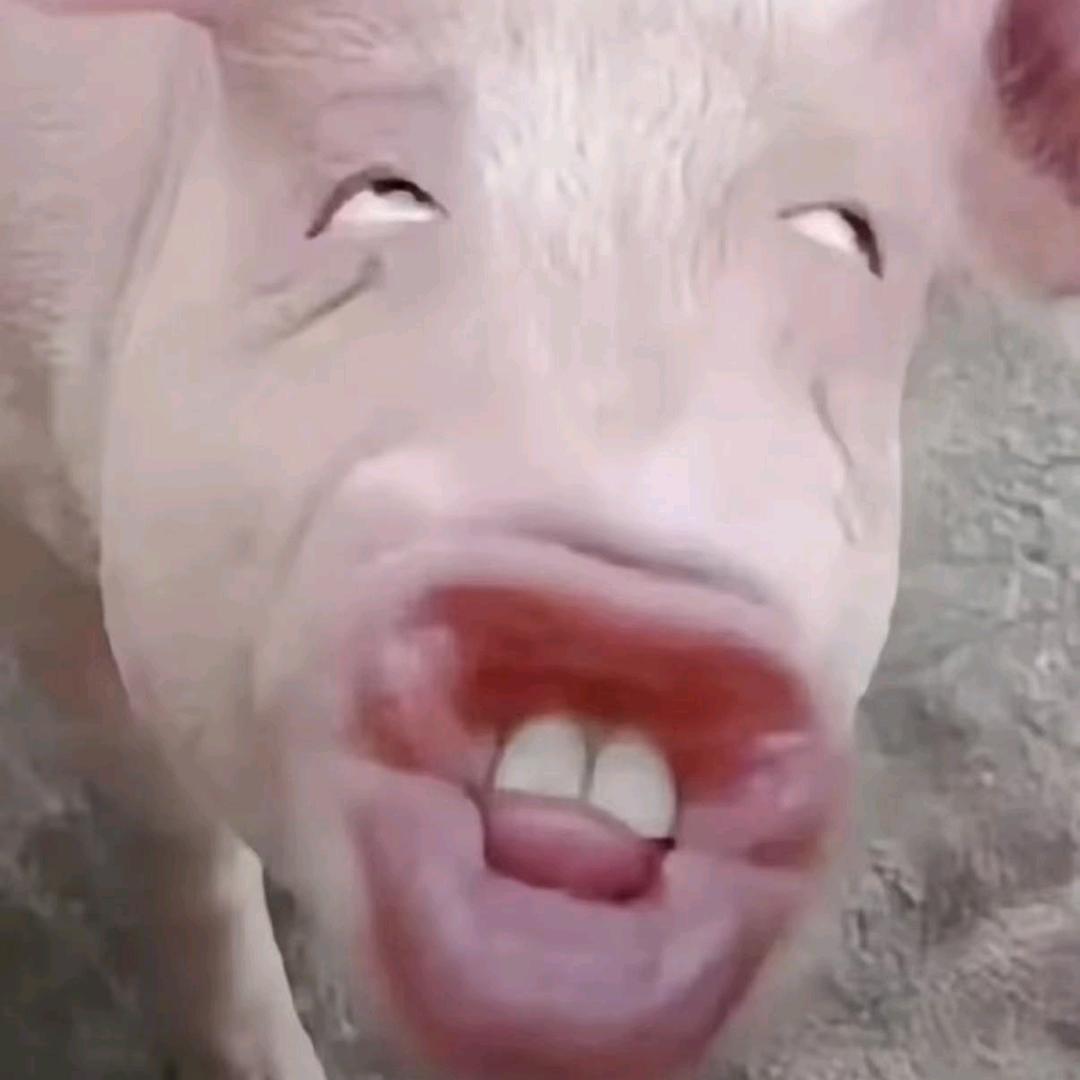 呆℘⃝🐟𝔃¹³¹⁴