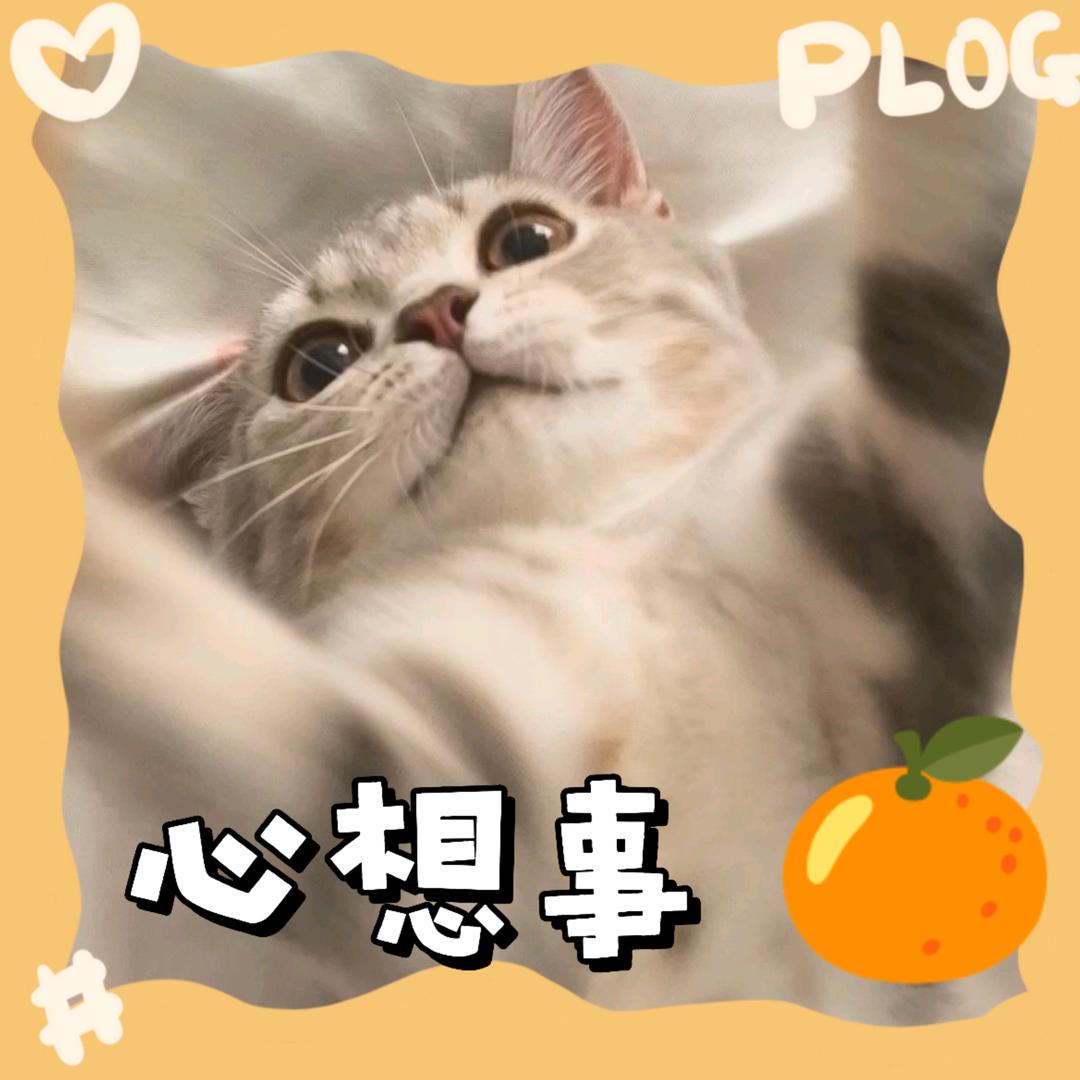 夹子哥不夹