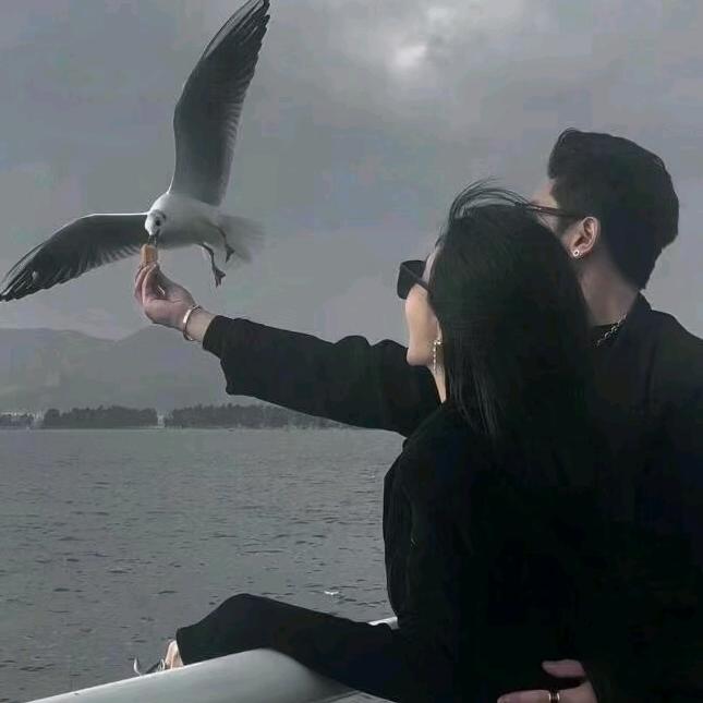钗瑞