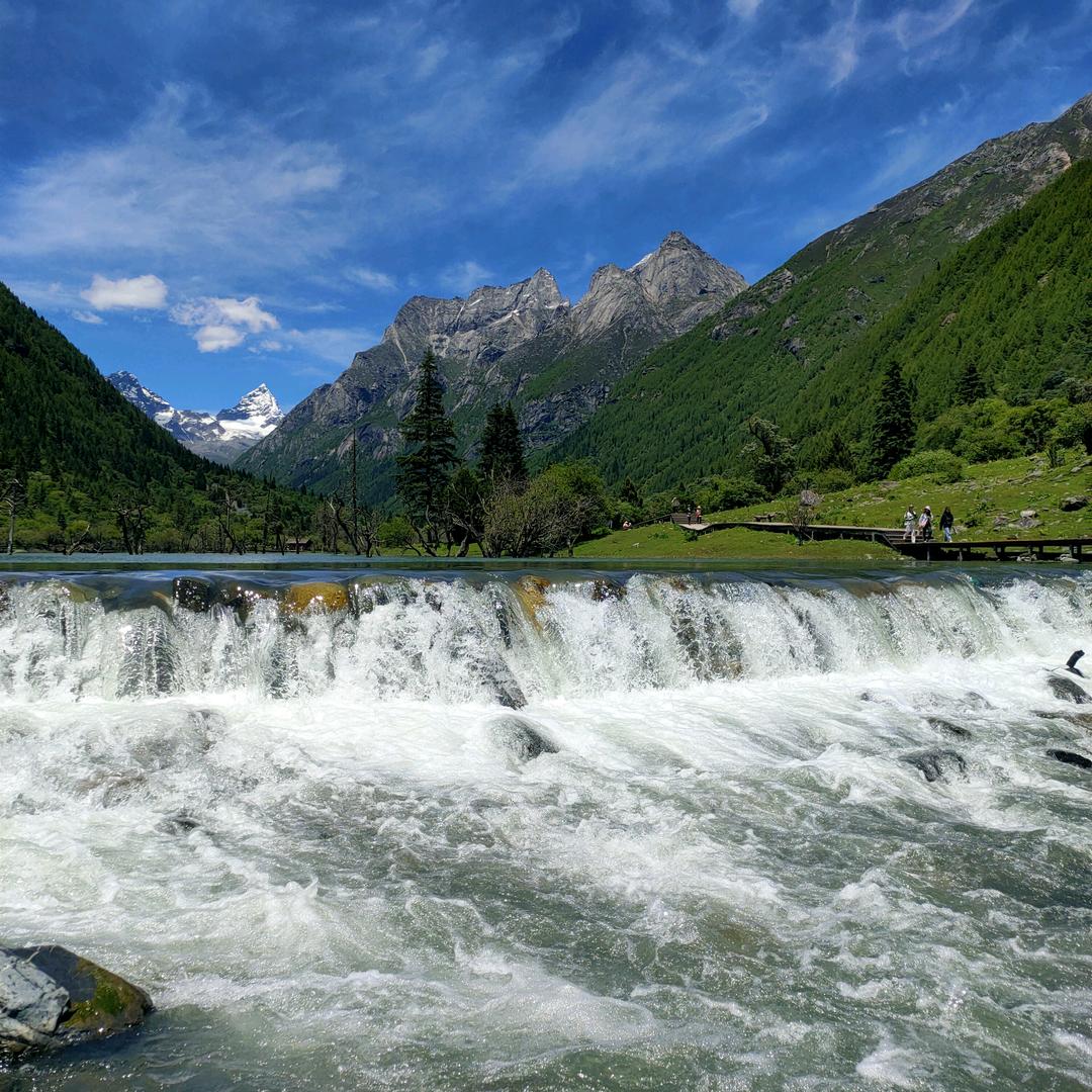 [Cu(NH₃)₄]SO₄·H₂O