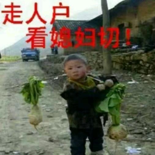 只饮烈酒不谈人生