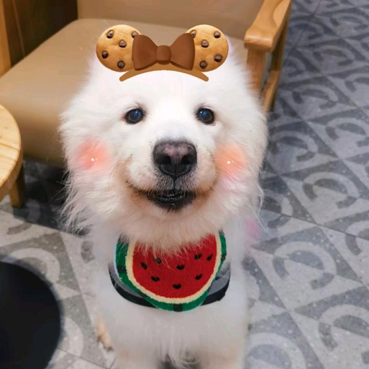 风光霁月