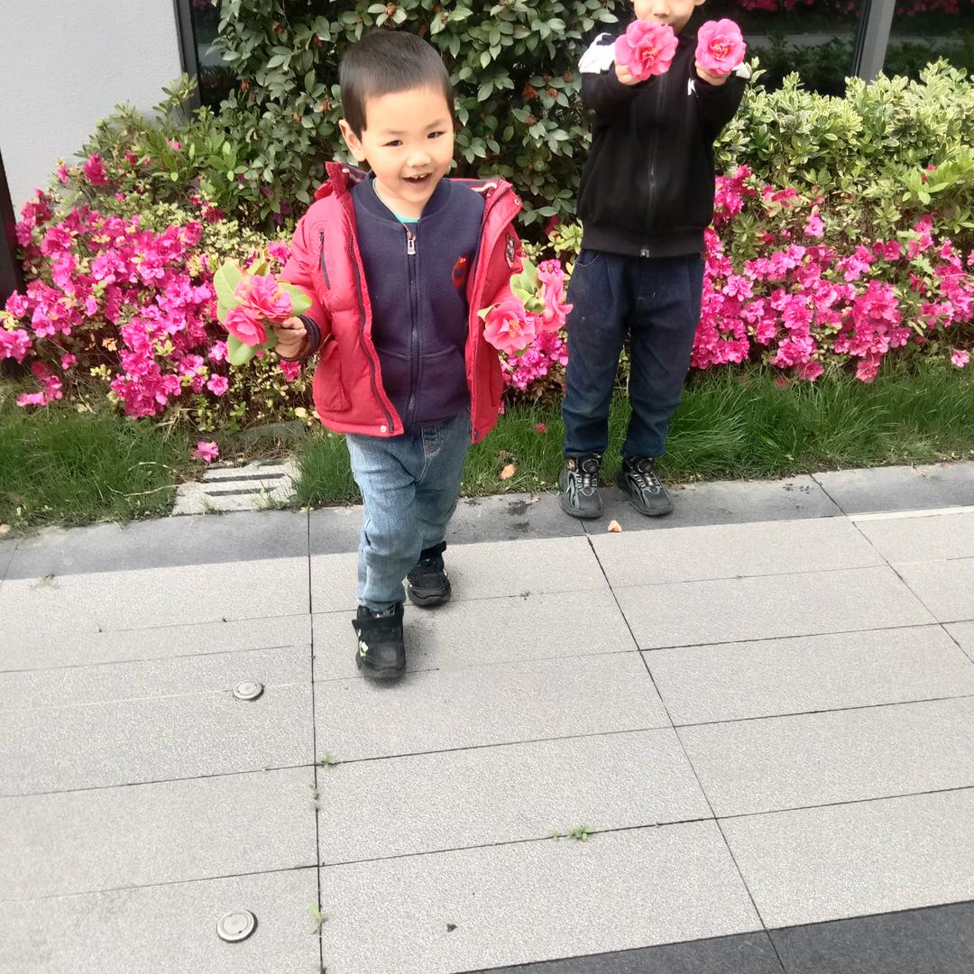 巧莲