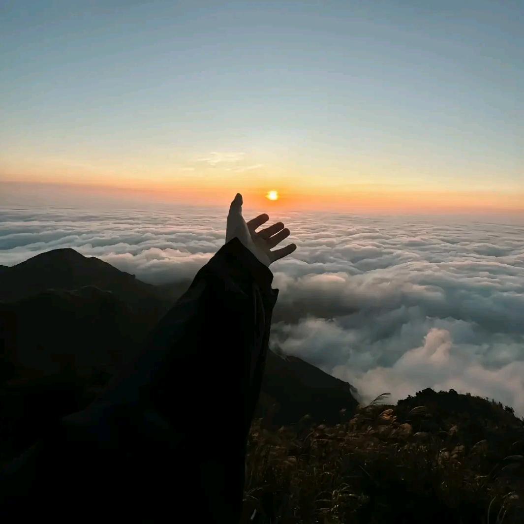 @ 随心💫