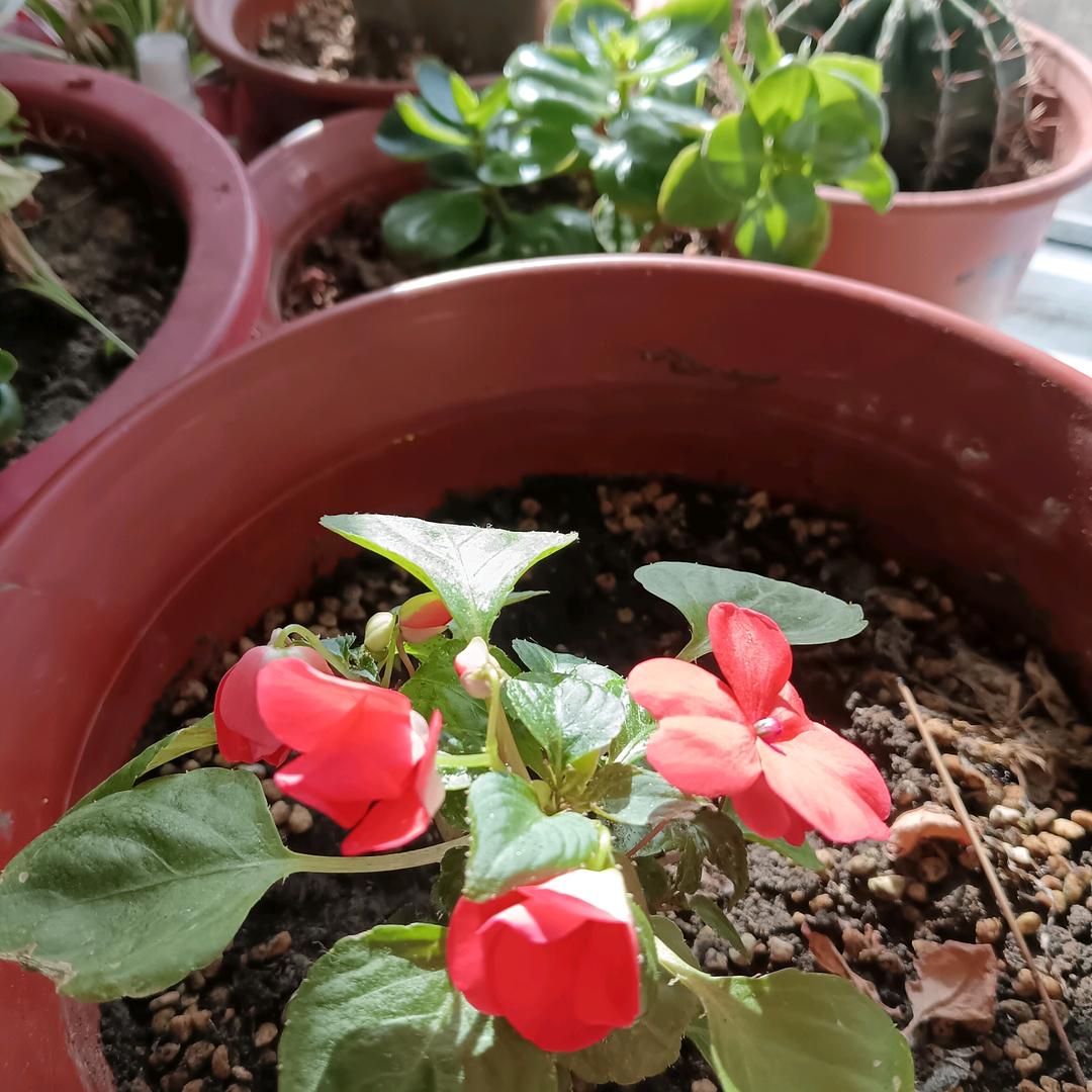 💖᭄心已꯭ ⃟🔒上锁💝💑