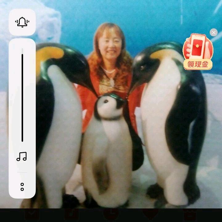 西园子糯玉米