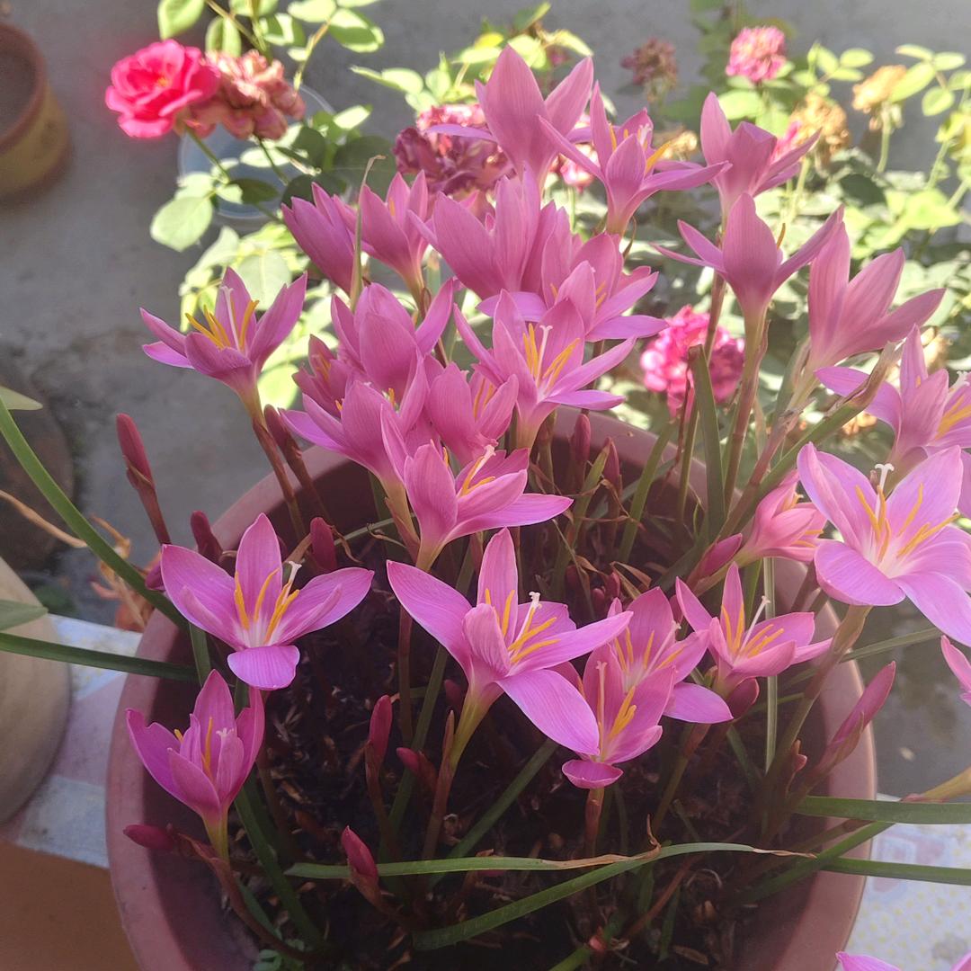 🚬ಇ᭄拧劲哥໊࿆ྃ࿐